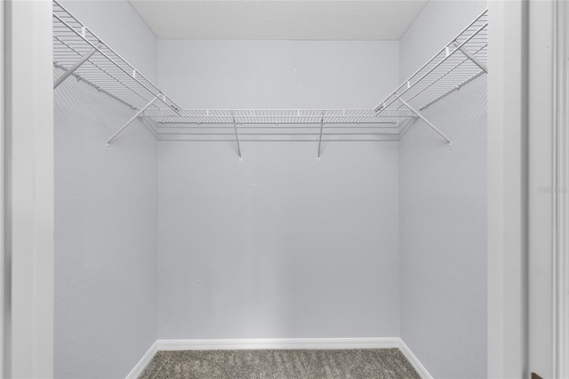 4501 SW 159th Street Rd, Ocala, FL 34473 - spacious closet featuring carpet flooring