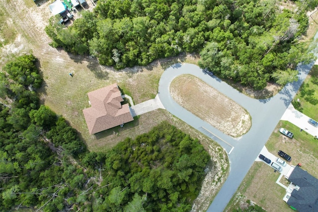 3858 SW 161st St, Ocala, FL 34473 - photo 63