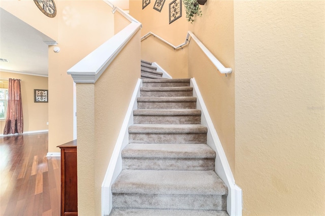 4094 SW 51st Ct, Ocala, FL 34474 - photo 57
