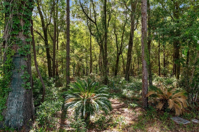 7242 SW 115th Pl, Ocala, FL 34476 - view of wooded area