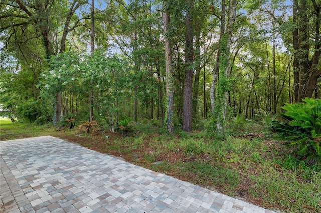 7242 SW 115th Pl, Ocala, FL 34476 - view of patio / terrace