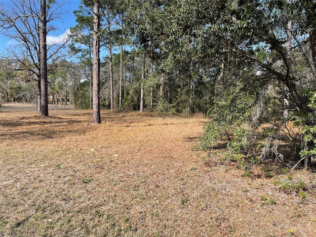 LOT40 SW Marine Blvd, Dunnellon, FL 34431