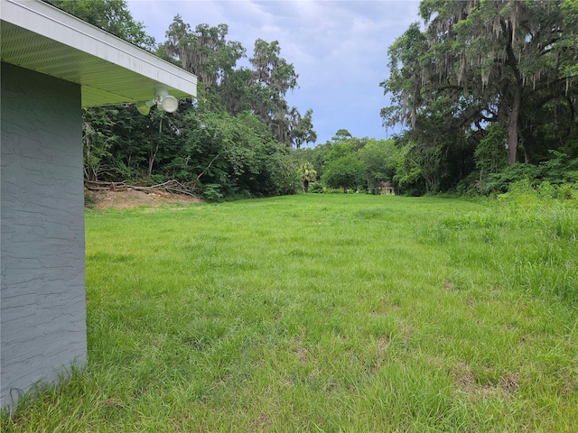 51 NE 10th St, Williston, FL 32696 - view of green lawn