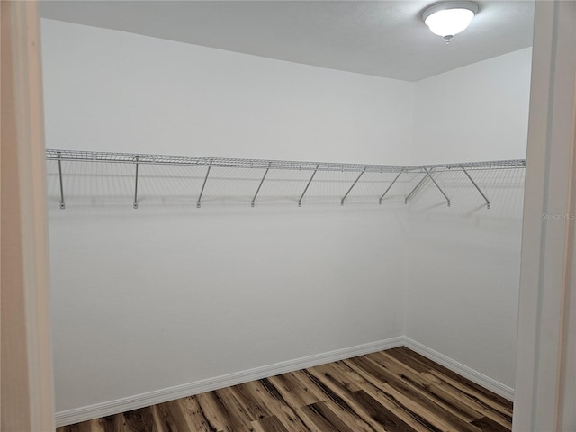 51 NE 10th St, Williston, FL 32696 - walk in closet featuring dark wood-type flooring