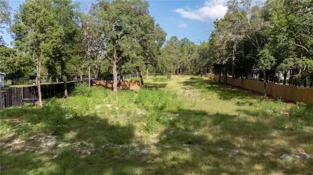 SW 175th Ct, Dunnellon, FL 34432 - photo 2
