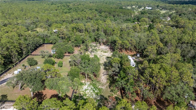 SW 175th Ct, Dunnellon, FL 34432 - photo 3