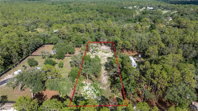 SW 175th Ct, Dunnellon, FL 34432 - photo 4