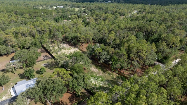 SW 175th Ct, Dunnellon, FL 34432 - photo 5