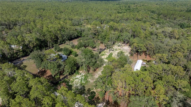 SW 175th Ct, Dunnellon, FL 34432 - photo 6