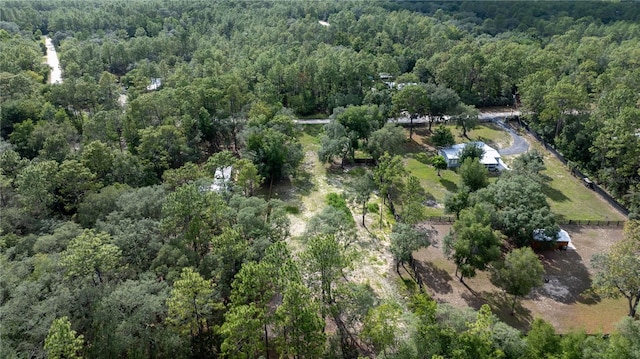 SW 175th Ct, Dunnellon, FL 34432 - photo 8