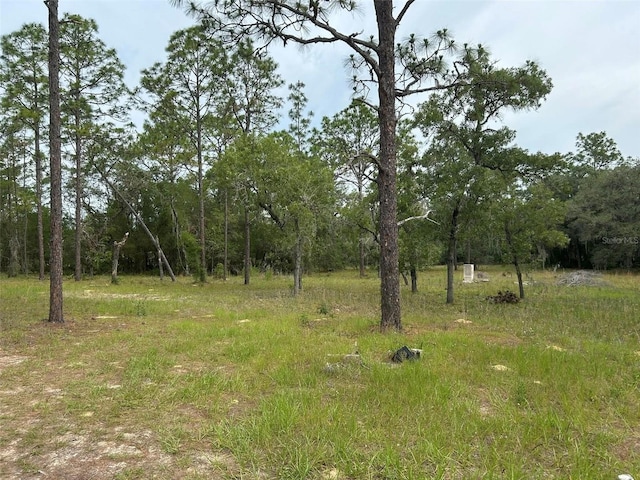 2060 E Mary Lue St, Inverness, FL 34453 - photo 3