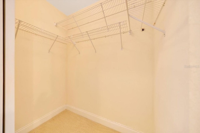 3769 Grove View Ln, Port Orange, FL 32129 - walk in closet featuring light colored carpet