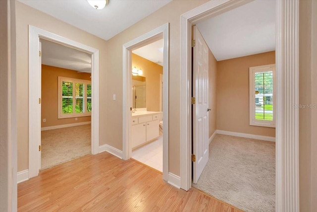 3769 Grove View Ln, Port Orange, FL 32129 - hallway with healthy amount of natural light, light wood-style flooring, and light carpet