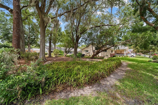 8677 SW 95th Ln Unit A, Ocala, FL 34481 - photo 53