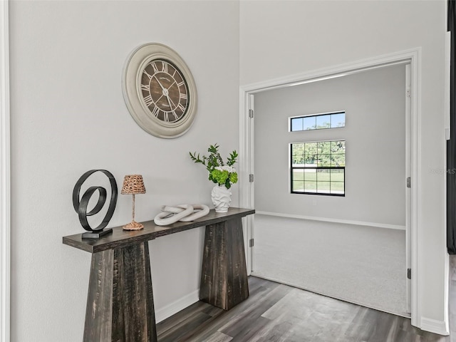 7041 NE 22nd Court Rd, Ocala, FL 34479 - photo 48