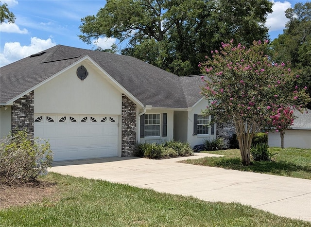 3650 SE 55th Ct, Ocala, FL 34480 - ranch-style house with a garage, a shingled roof, concrete driveway, and stucco siding