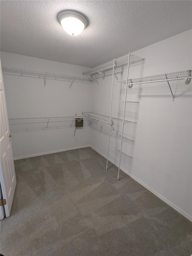 3650 SE 55th Ct, Ocala, FL 34480 - walk in closet featuring carpet floors