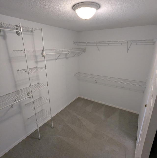 3650 SE 55th Ct, Ocala, FL 34480 - spacious closet with carpet