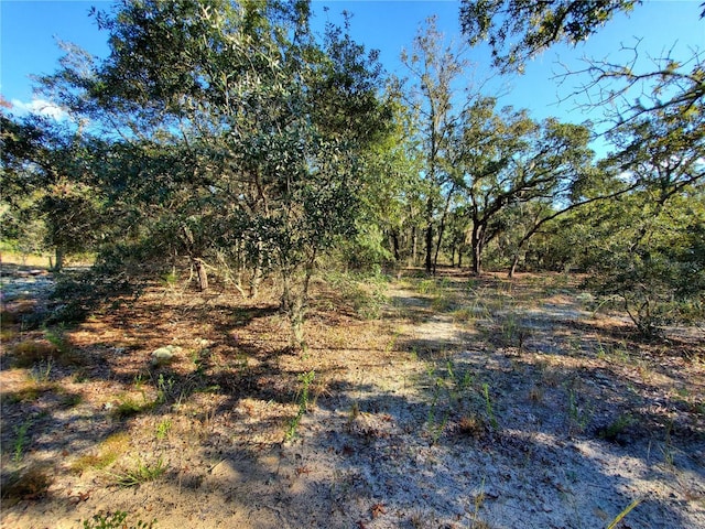 LOT4 SW Paradise Heights Rd, Dunnellon, FL 34432