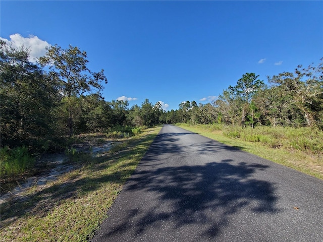 LOT4 SW Paradise Heights Rd, Dunnellon, FL 34432