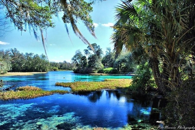 LOT4 SW Paradise Heights Rd, Dunnellon, FL 34432