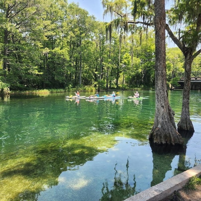 LOT4 SW Paradise Heights Rd, Dunnellon, FL 34432