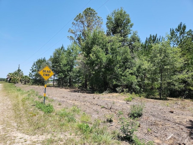 LOT1 SW Pine Bluffs Rd, Dunnellon, FL 34431