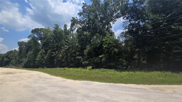 SW 47th Ln, Bell, FL 32619 - photo 2