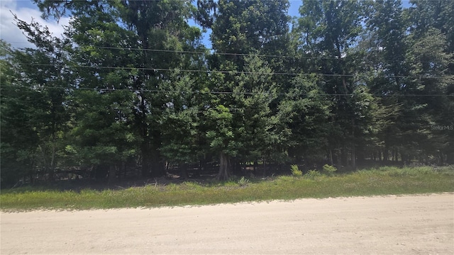 SW 47th Ln, Bell, FL 32619 - photo 3