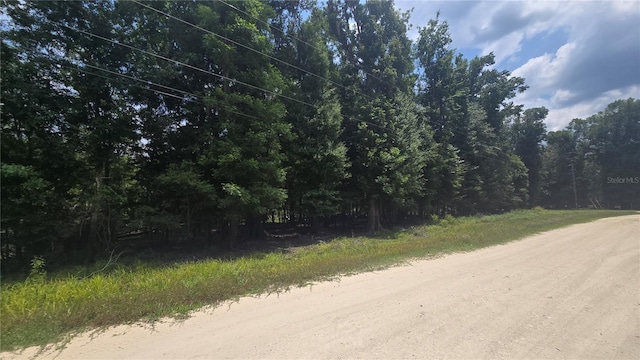 SW 47th Ln, Bell, FL 32619 - photo 4