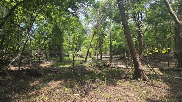 SW 47th Ln, Bell, FL 32619 - photo 8
