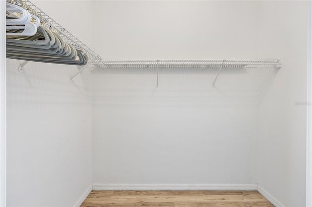 7220 NW 83rd Ter, Ocala, FL 34482 - spacious closet with light wood-style flooring