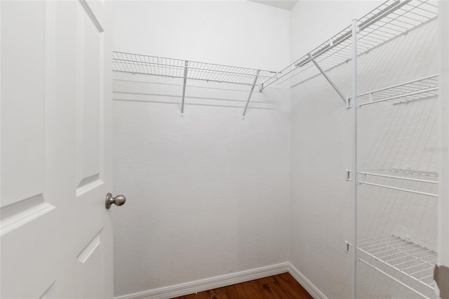 5740 NW 61st St, Ocala, FL 34482 - walk in closet with dark wood-type flooring