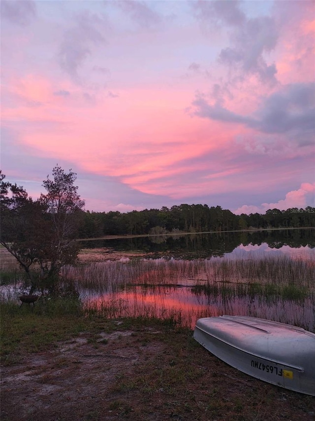 10851 SE 190th Ct, Ocklawaha, FL 32179 - water view