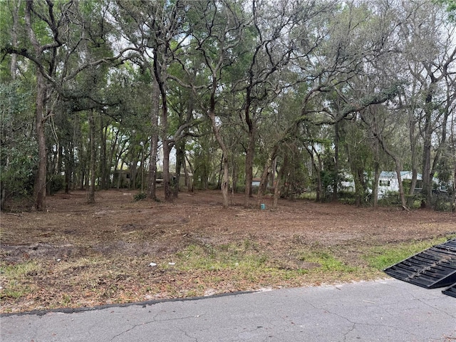 7791 NW 168th Ln, Trenton, FL 32693 - photo 2