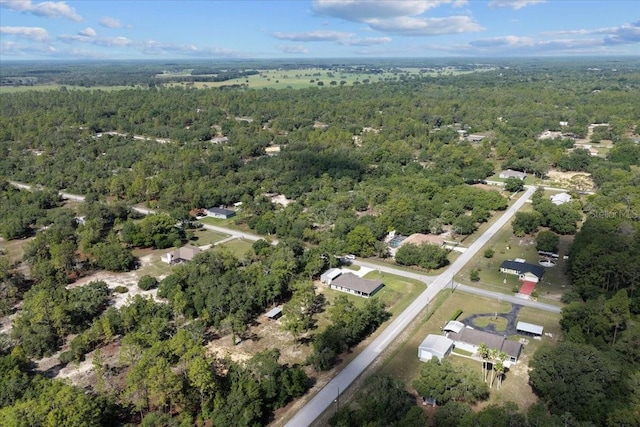 4661 SW Gardenia Ct, Dunnellon, FL 34431 - photo 46