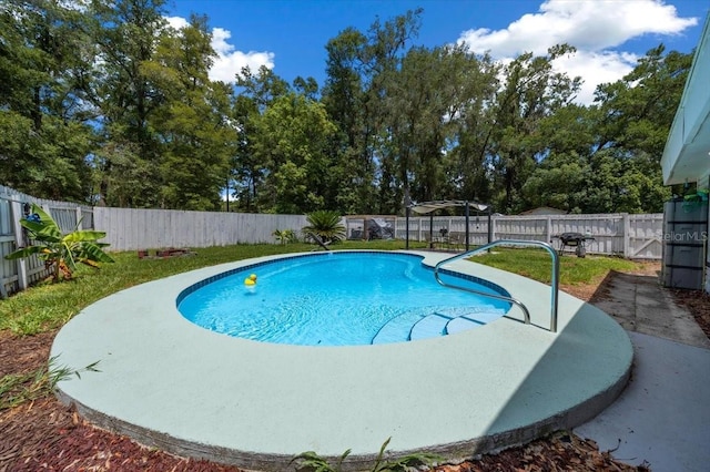 2340 NE 14th Ave, Ocala, FL 34470 - view of pool featuring a fenced backyard, a patio area, and view of wooded area