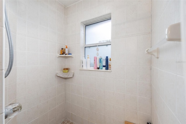 6362 N Walter Ter, Citrus Springs, FL 34434 - bathroom featuring a tile shower