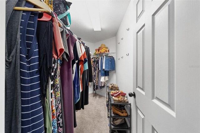 6362 N Walter Ter, Citrus Springs, FL 34434 - walk in closet featuring carpet floors