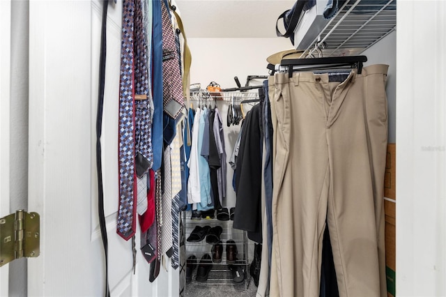 6362 N Walter Ter, Citrus Springs, FL 34434 - view of spacious closet