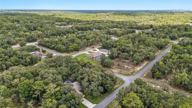 6362 N Walter Ter, Citrus Springs, FL 34434 - aerial overview of property's location with a heavily wooded area