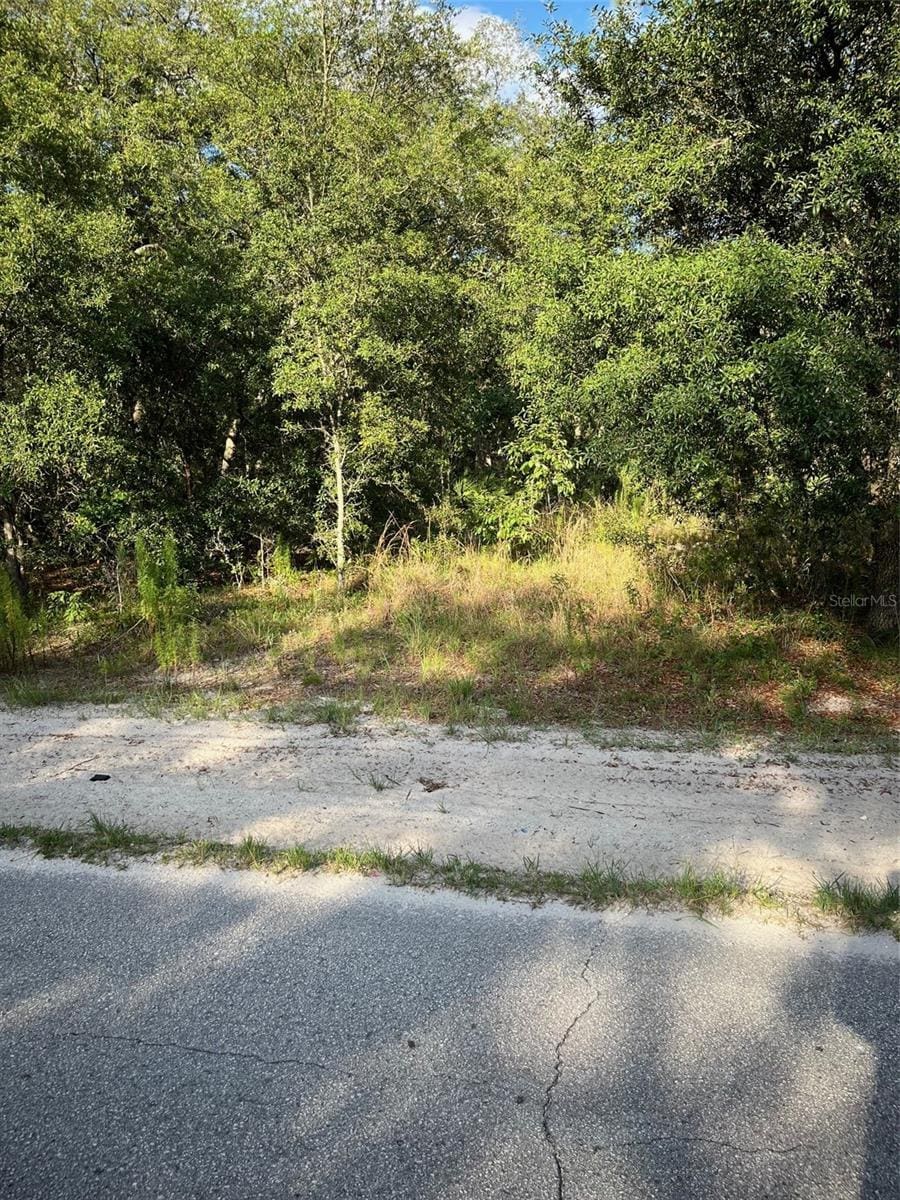 SW 72nd Ter, Dunnellon, FL 34432 - photo 1