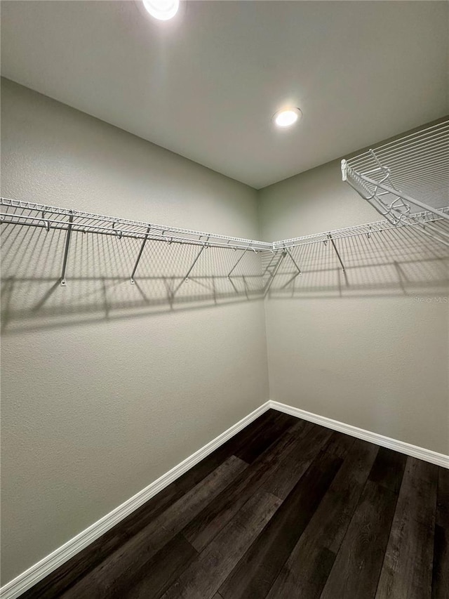13305 SW 114th Pl, Dunnellon, FL 34432 - spacious closet with dark wood-style flooring