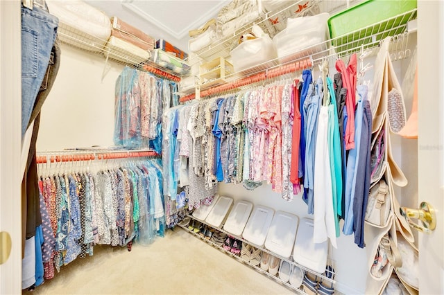 6330 SW 117th Loop, Ocala, FL 34476 - walk in closet featuring carpet flooring