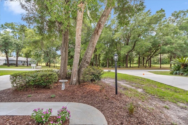 8775 SW 192nd Ct, Dunnellon, FL 34432 - photo 44