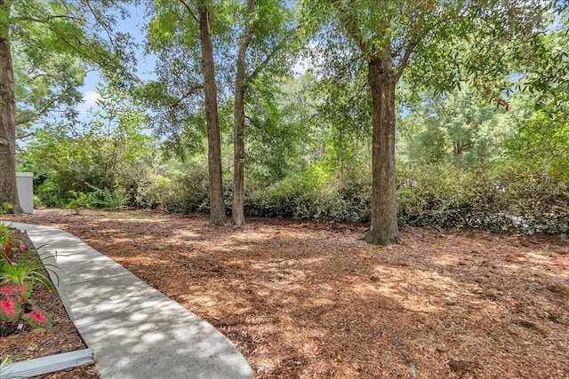 8775 SW 192nd Ct, Dunnellon, FL 34432 - photo 48