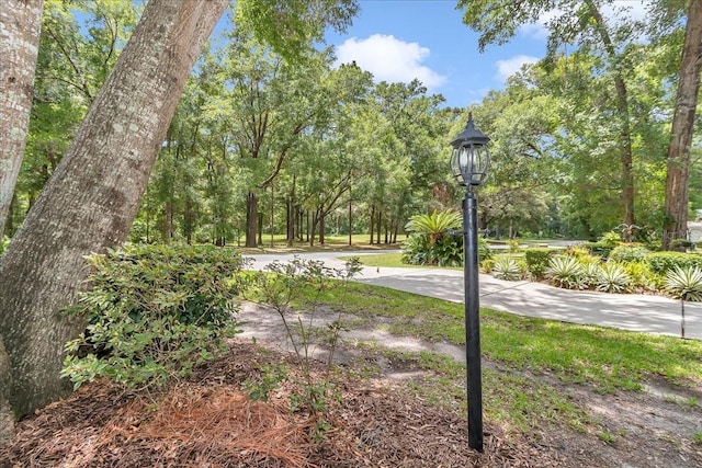 8775 SW 192nd Ct, Dunnellon, FL 34432 - photo 49