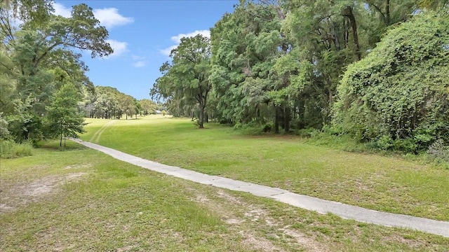8775 SW 192nd Ct, Dunnellon, FL 34432 - photo 51