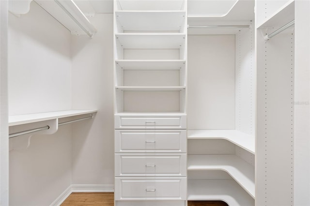 7243 SE 172nd Legacy Ln, The Villages, FL 32162 - walk in closet featuring light wood-type flooring