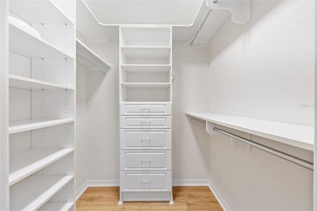 7243 SE 172nd Legacy Ln, The Villages, FL 32162 - walk in closet featuring light wood-style flooring